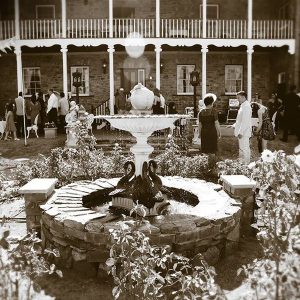 Swans and fountain