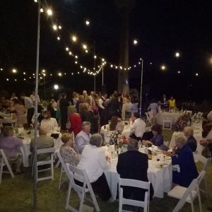 Wedding guests at tables