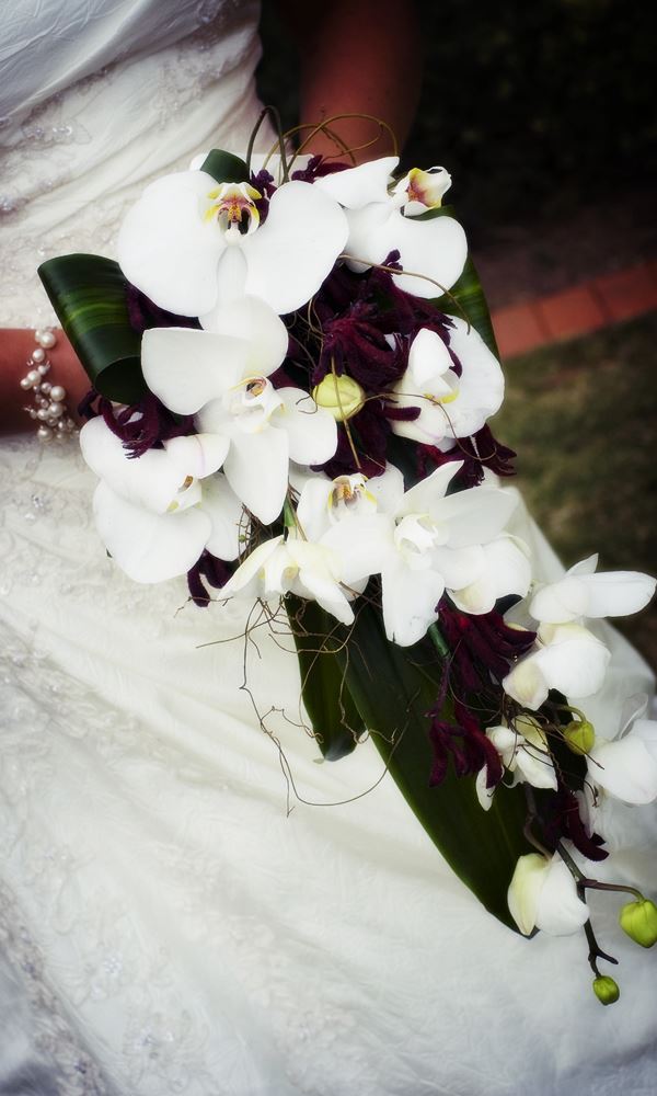 Orchid bouquet